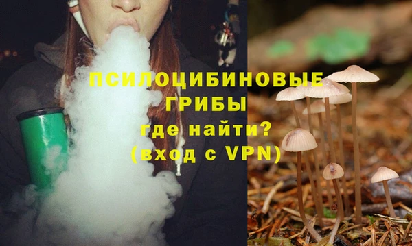 альфа пвп Михайловск