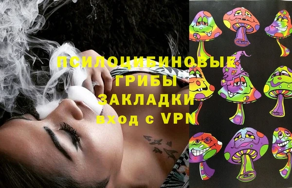 стафф Михайловка