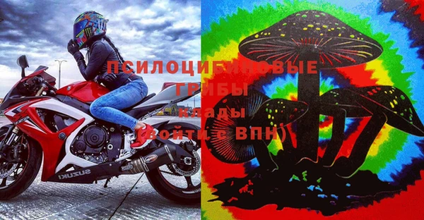 стафф Михайловка