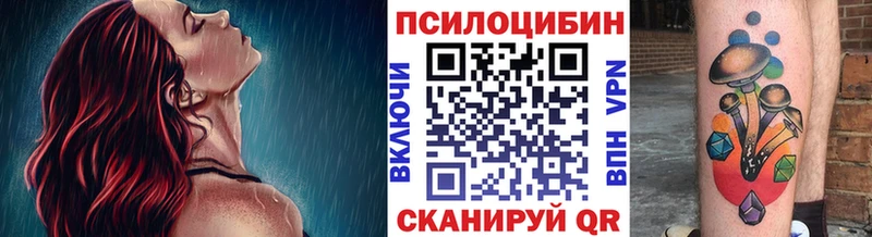 закладка  Новороссийск  Галлюциногенные грибы Psilocybe 