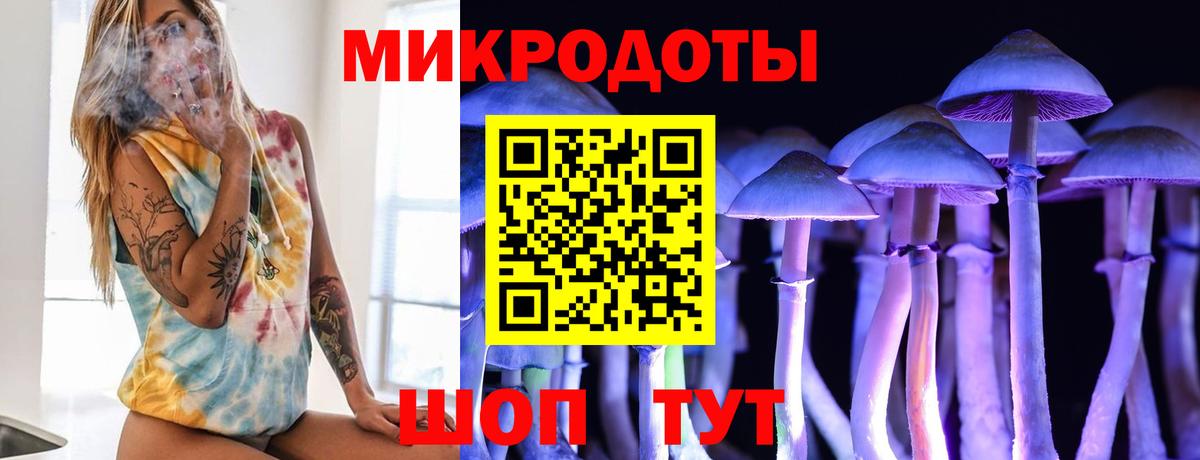 Новороссийск  Галлюциногенные грибы ЛСД  Галлюциногенные грибы ЛСД  Вход с VPN 